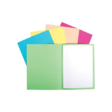 Vouwmap Exacompta Forever A4 170gr assorti 100 stuks