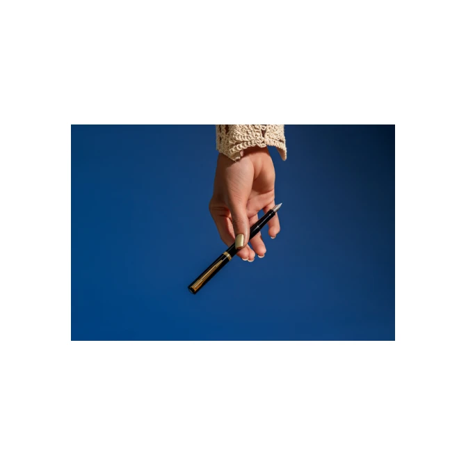 Vulpen Waterman Allure Impression black GT medium