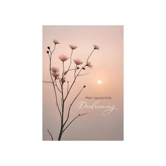Wenskaart Hallmark condoleance bloemen pak à 6 stuks