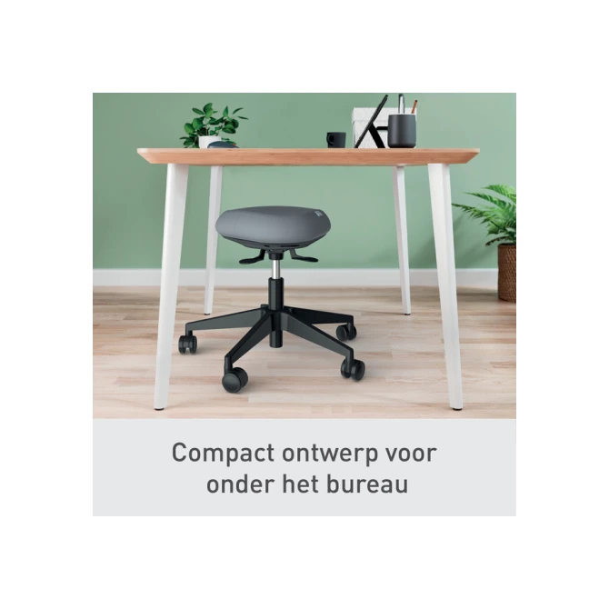 Zitkruk Leitz Ergo met wieltjes en wiebelkussen