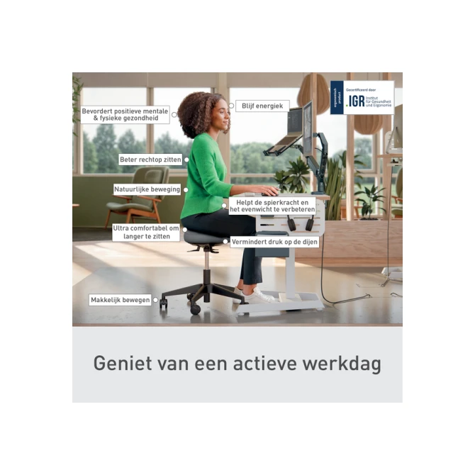 Zitkruk Leitz Ergo met wieltjes en wiebelkussen